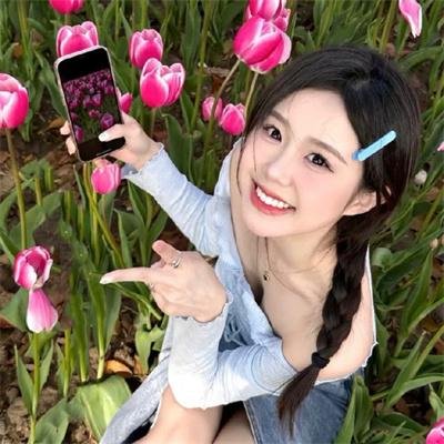 猫和老鼠在纽约